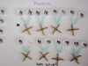chemistryboards_072513_lr-2