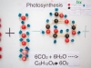 chemistryboards_072513_lr-5