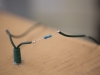 t4t_jordan_elec_040213_lr-26